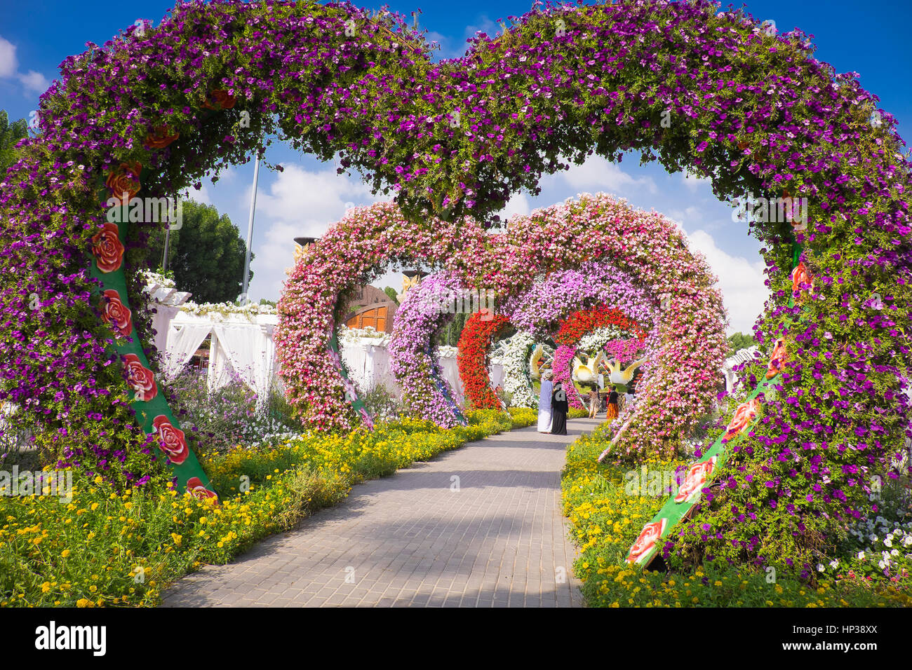 Dubai Miracle Garden Stock Photo Alamy