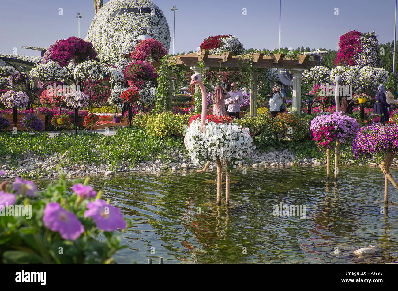 Dubai Miracle Garden Stock Photo Alamy