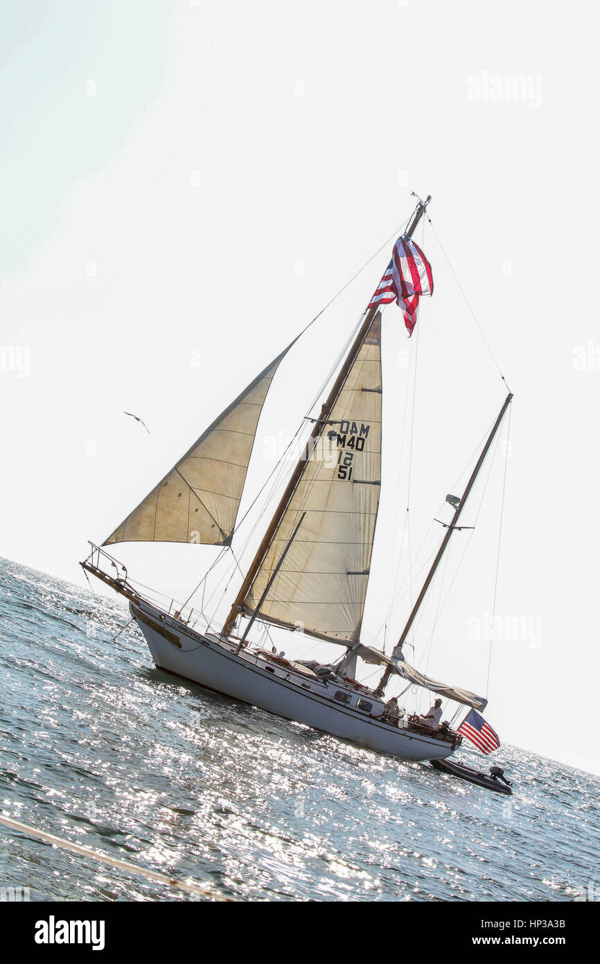Sailing away the Marina Stock Photo