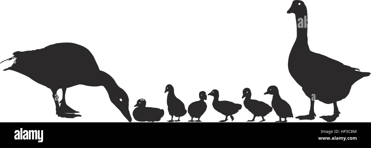 Vector illustration of a family of wild geese Stock Vector