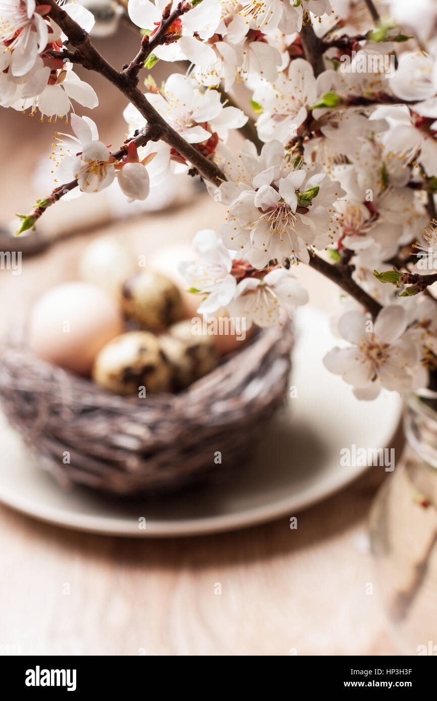 Easter decoration. blossoming branch, nest with eggs on a wooden ...