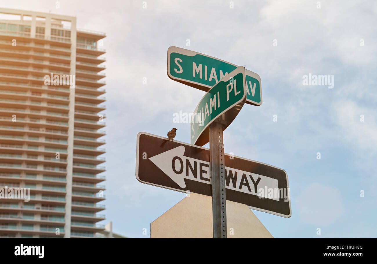 Miami city street sign on skyscraper sky background. Sign arrows of miami street Stock Photo