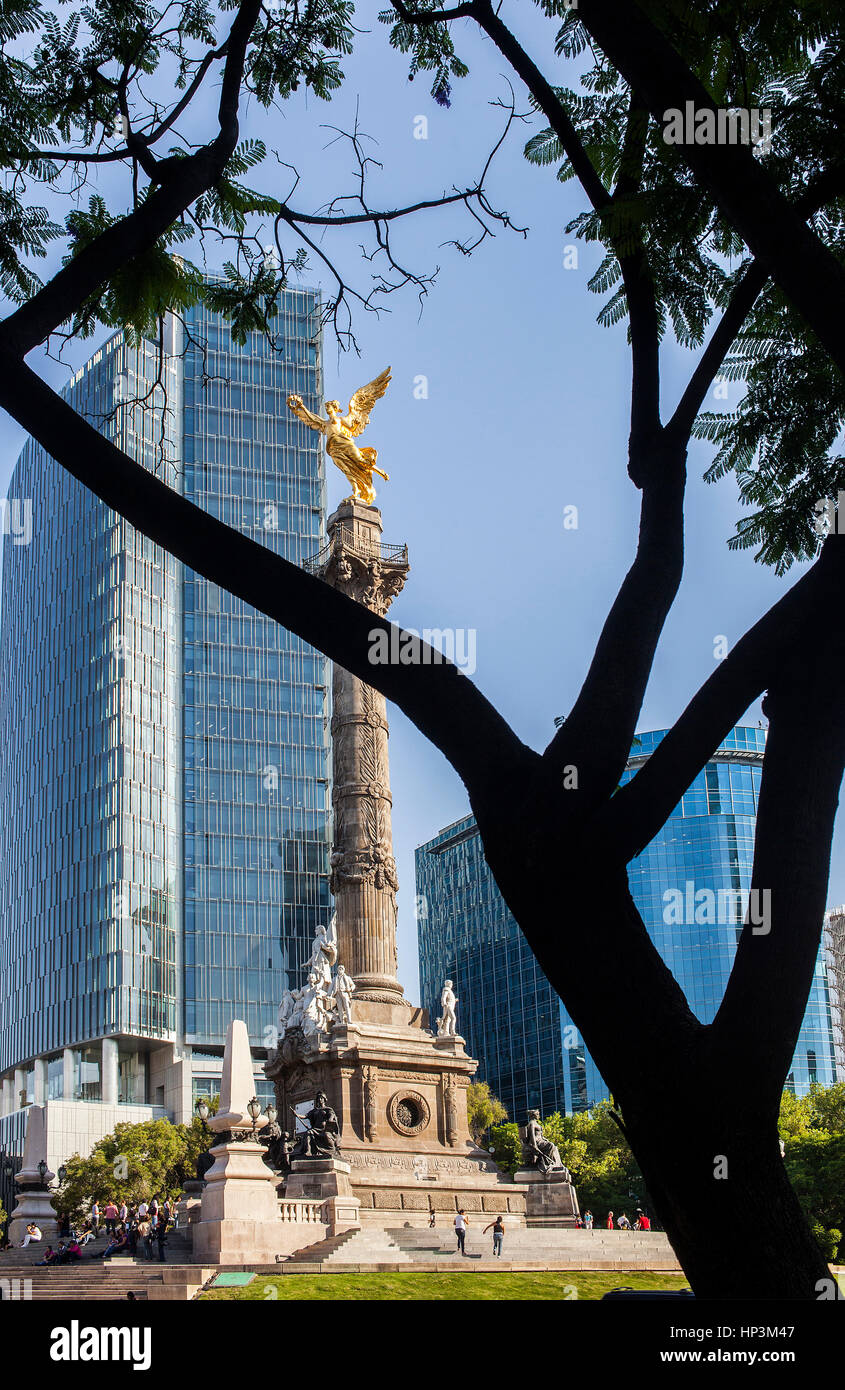 Mexico City Angel Monument Independence Column Stock Photos & Mexico