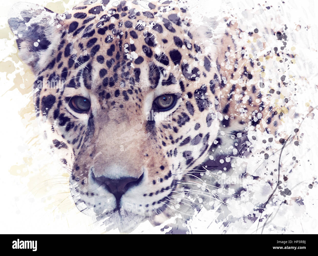 Digital Painting of Leopard Portrait Stock Photo - Alamy