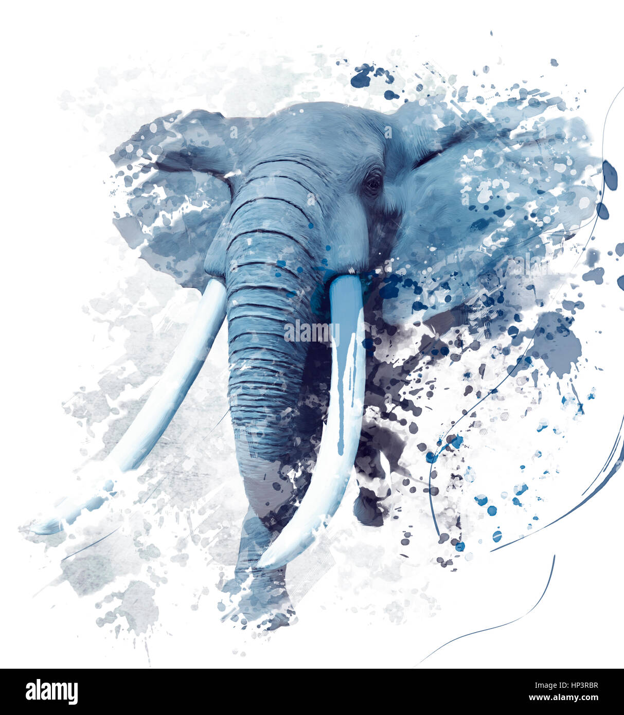 Digital Painting of Elephant Portrait Stock Photo Alamy