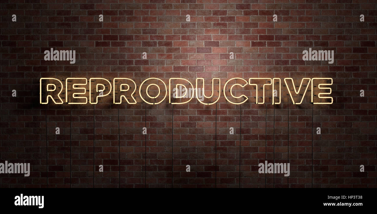 Reprouctive REPRODUCTIVE - fluorescent Neon tube Sign on brickwork - Front view ...