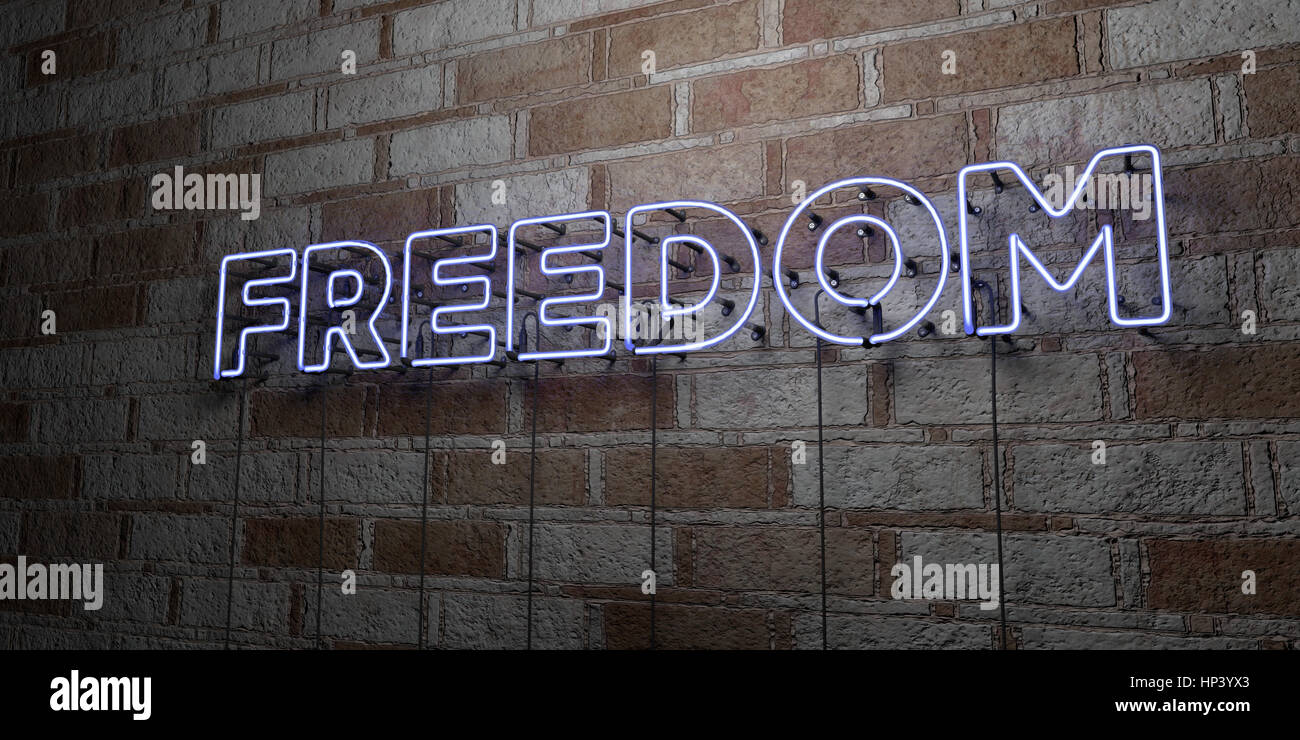 FREEDOM - Glowing Neon Sign on stonework wall - 3D rendered royalty ...