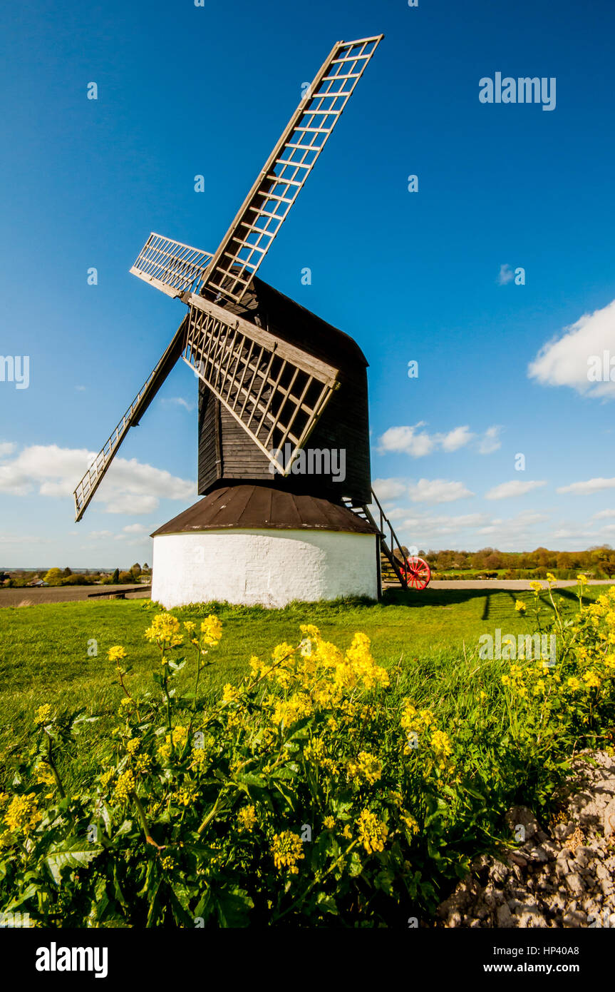 Pitstone Widmill at spring Stock Photo