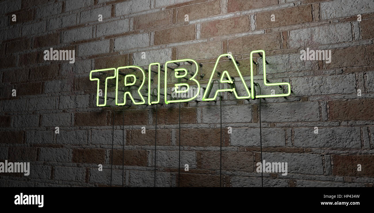 TRIBAL - Glowing Neon Sign on stonework wall - 3D rendered royalty free stock illustration.  Can be used for online banner ads and direct mailers. Stock Photo