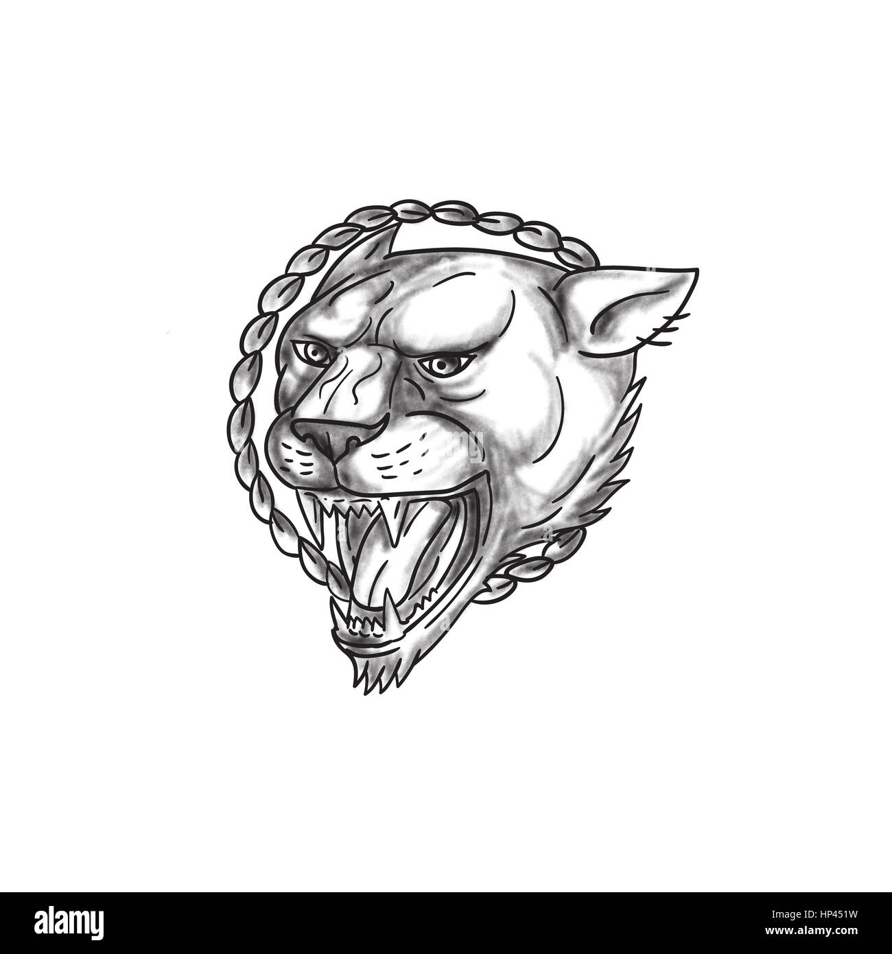 Tattoo style illustration of a lioness growling with rope in the background set on isolated white background. Stock Photo