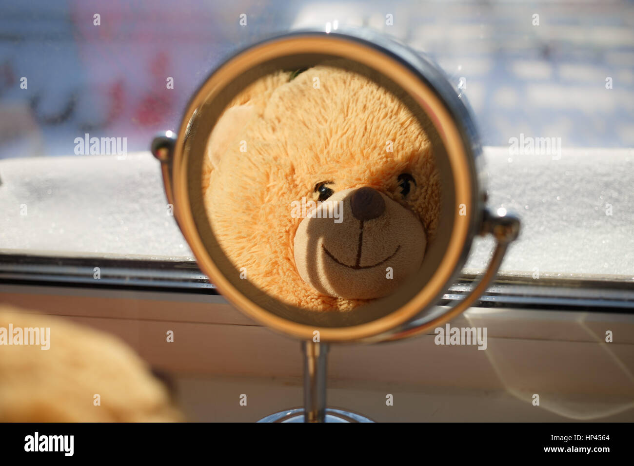 Teddy bear looking at myself in the mirror Stock Photo Alamy