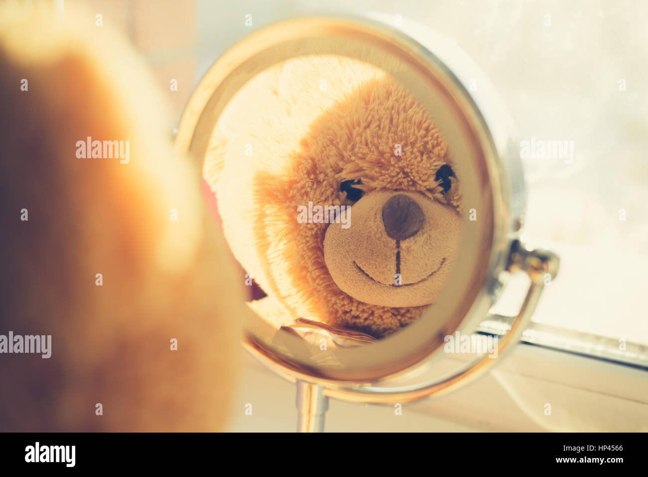 Teddy bear looking at myself in the mirror Stock Photo Alamy