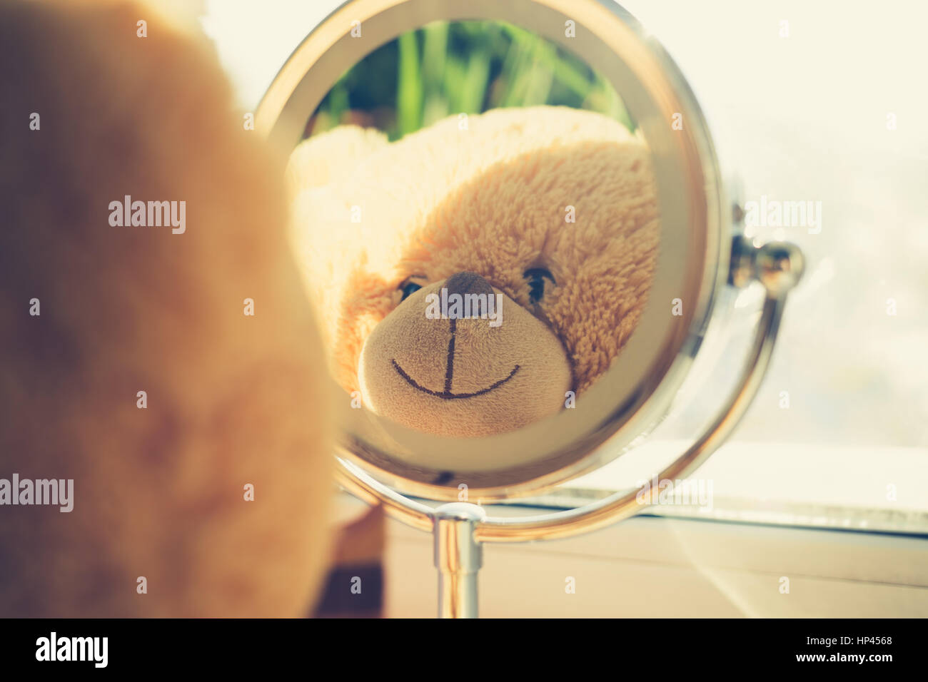 Teddy bear looking at myself in the mirror Stock Photo Alamy