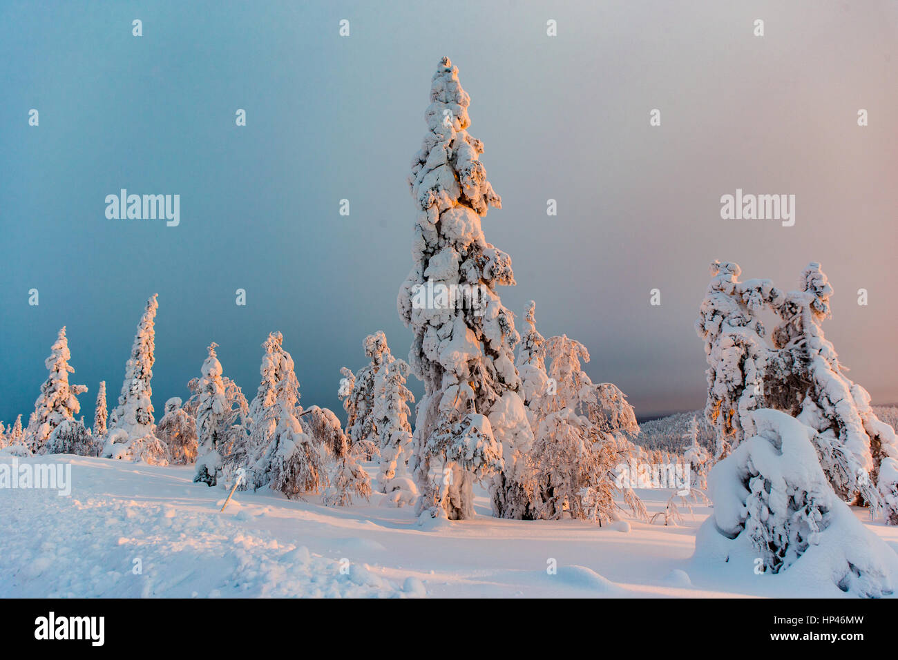 kittila suami finland Stock Photo - Alamy