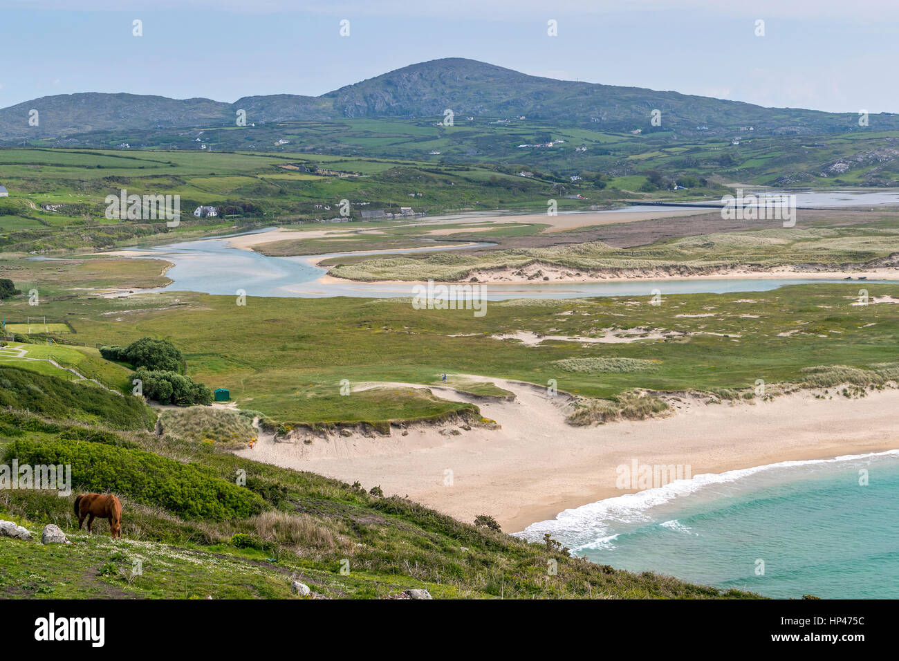 Barleycove, West Cork, Wild Atlantic Way, South Western Ireland, Europe