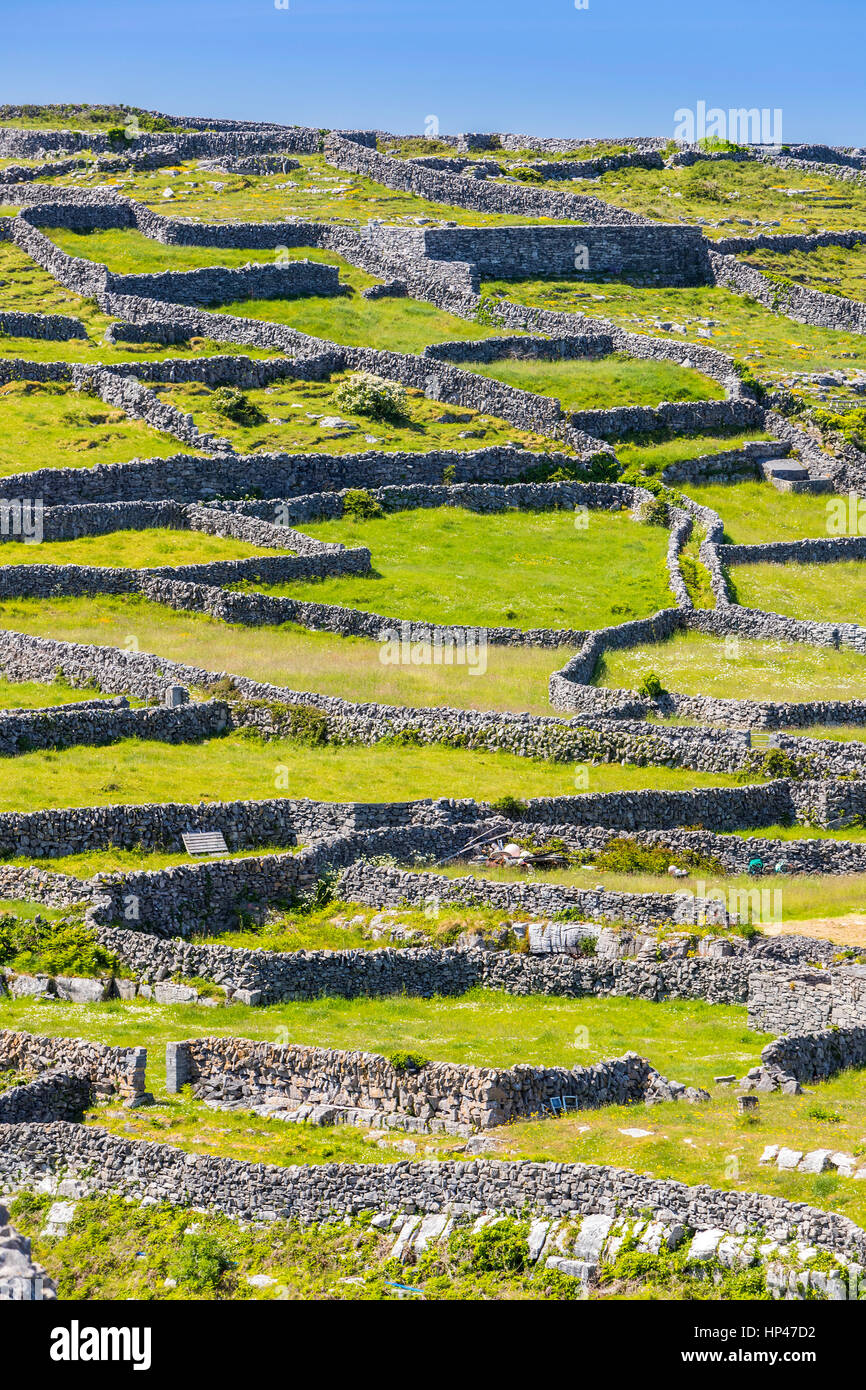 Inis Oirr, County Galway, Ireland, Europe. Stock Photo
