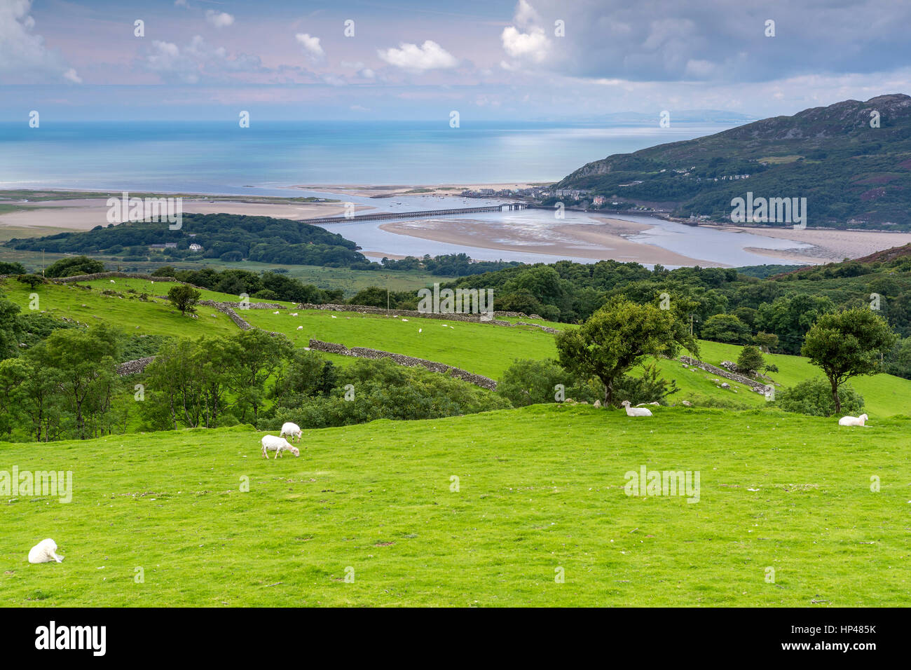 View over Mawddach Estuary towards Barmouth from Cadair Idris, Arthog, Gwynedd, Wales, United Kingdom, Europe. Stock Photo