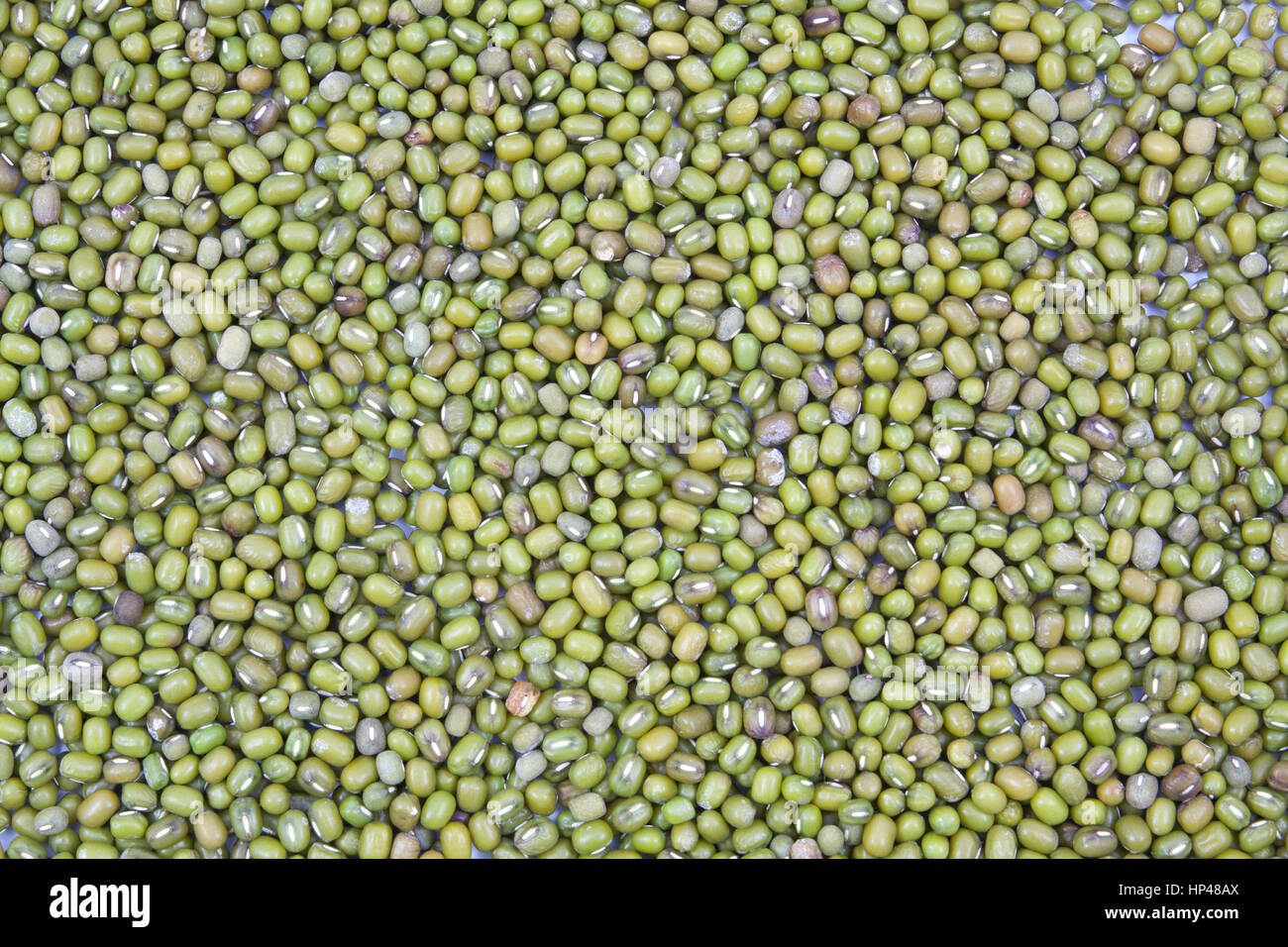 Green beans texture background Stock Photo - Alamy