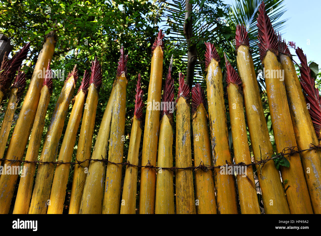 Bamboo fence of an house in a village in Sri Lanca Stock Photo