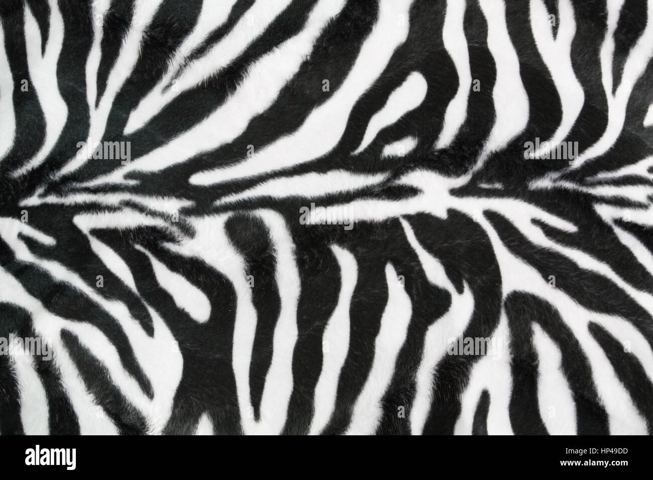 Zebra texture with beige white and black Stock Photo - Alamy
