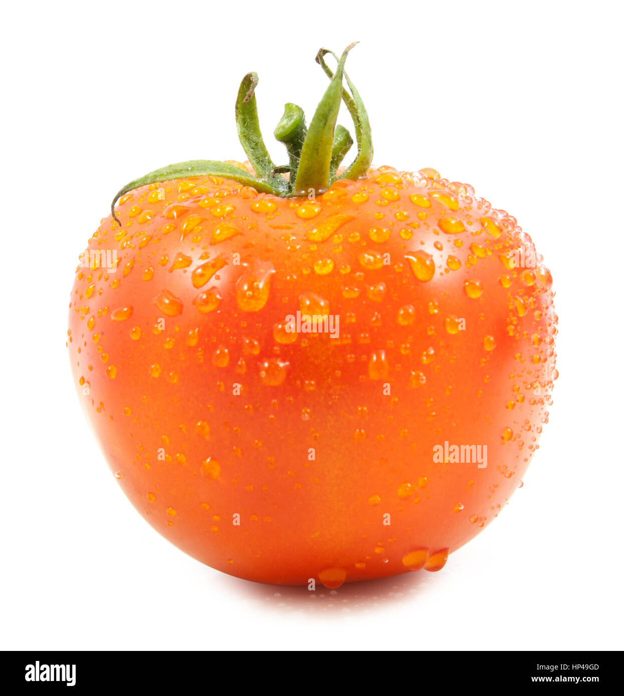 tomato with drops water on white background Stock Photo - Alamy