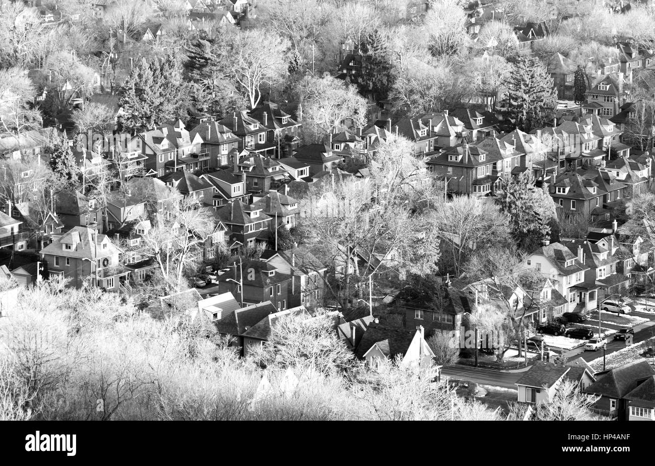 Residential community neighbourhood nestled among winter trees, seen from above in black and white Stock Photo