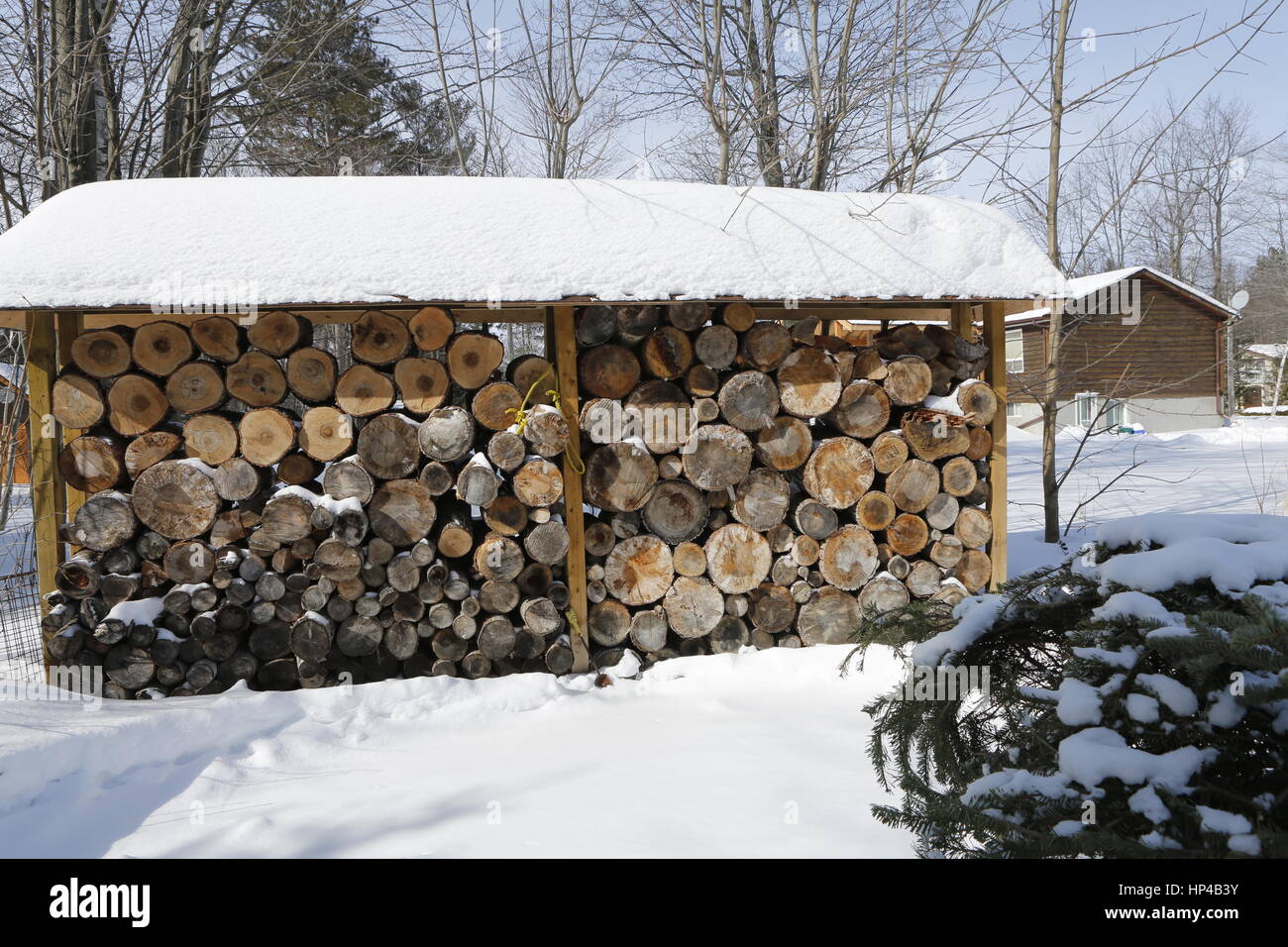 Stack of firewood in bright winter day with a lot of snow around. Stock Photo