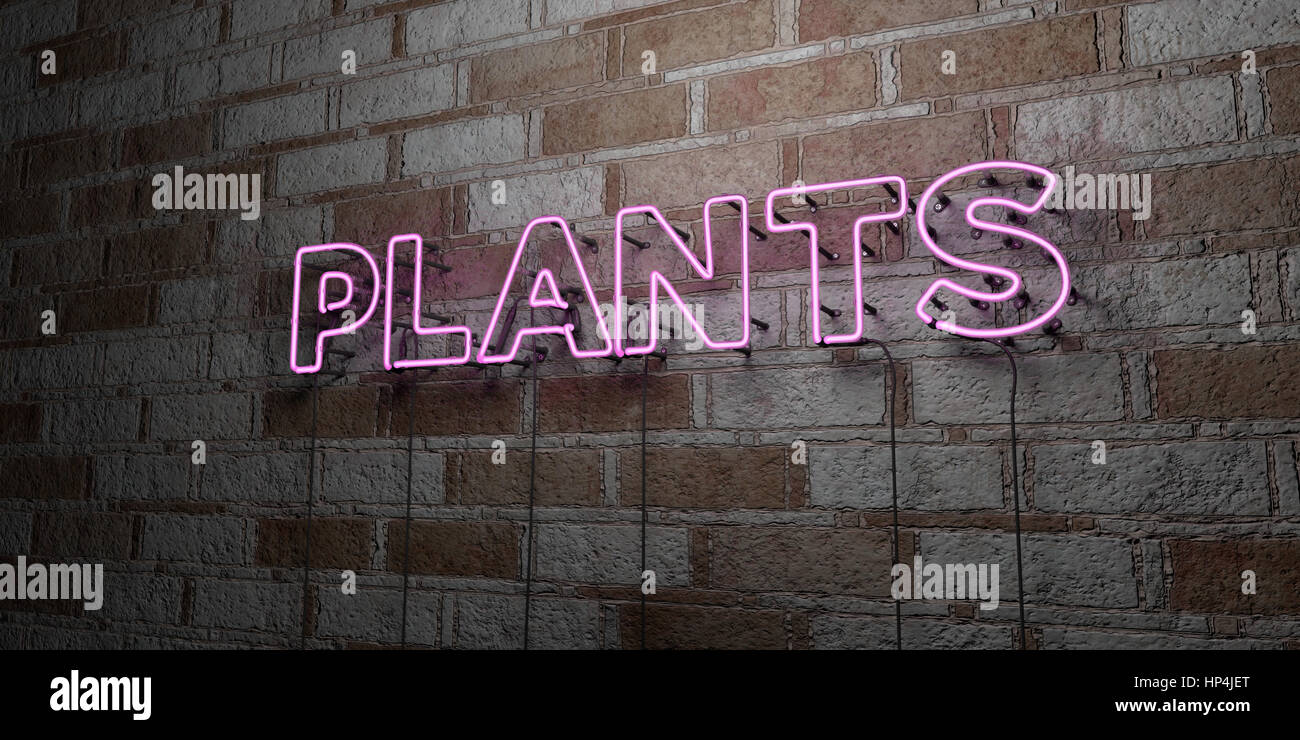 PLANTS - Glowing Neon Sign on stonework wall - 3D rendered royalty free stock illustration.  Can be used for online banner ads and direct mailers. Stock Photo