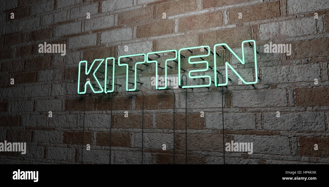 KITTEN - Glowing Neon Sign on stonework wall - 3D rendered royalty free stock illustration.  Can be used for online banner ads and direct mailers. Stock Photo