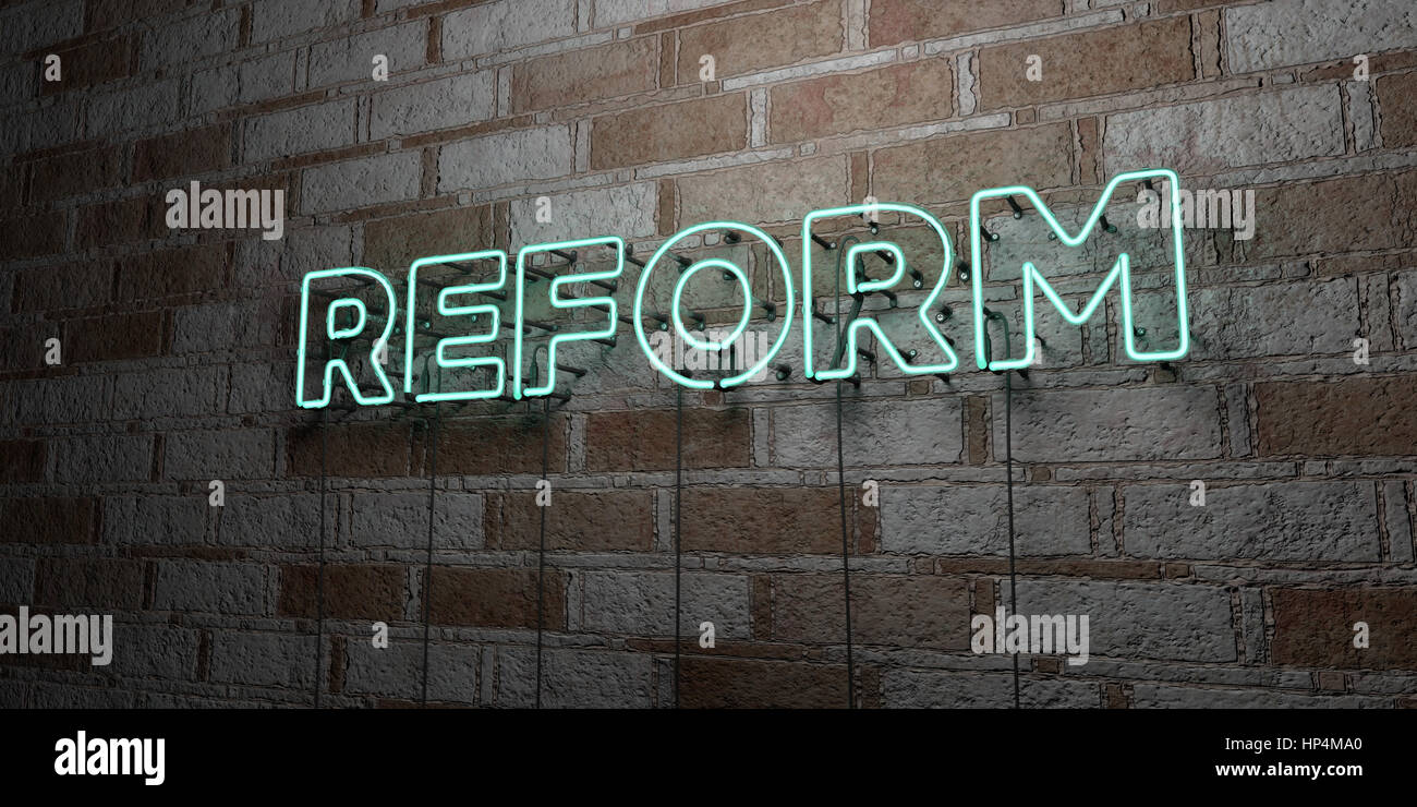 REFORM - Glowing Neon Sign on stonework wall - 3D rendered royalty free stock illustration.  Can be used for online banner ads and direct mailers. Stock Photo