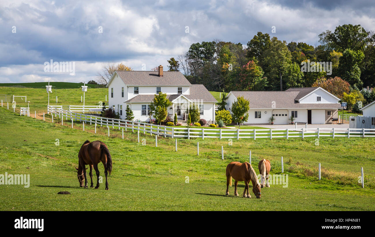An Amish farm with horses in the pasture in the countryside near Kidron