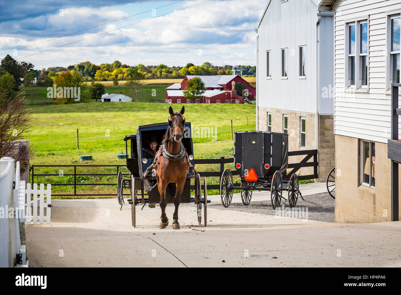 An Amish farm home with horse and buggies near Kidron, Ohio, USA Stock