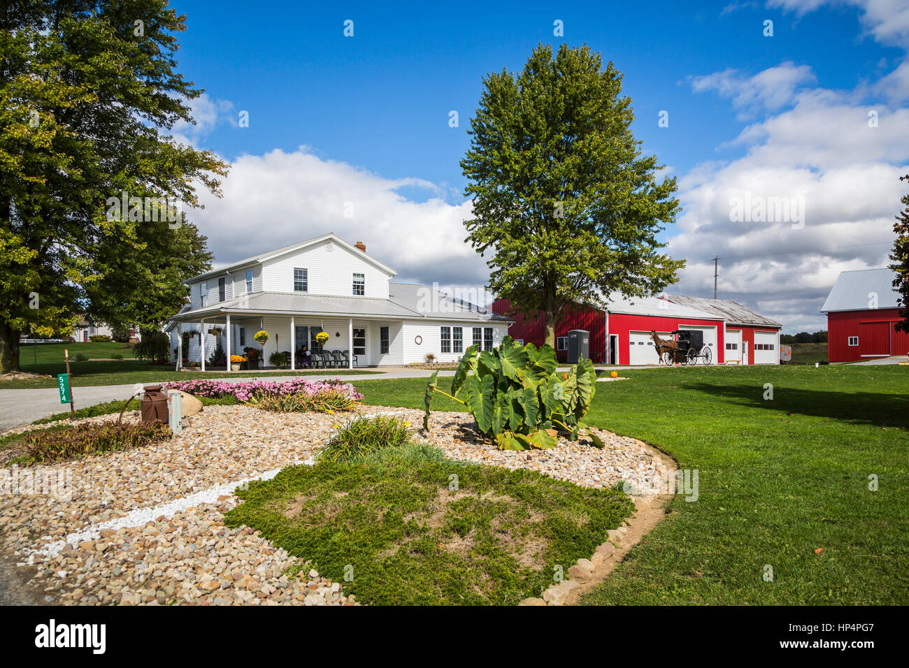 An Amish farm home with horse and buggies near Kidron, Ohio, USA Stock
