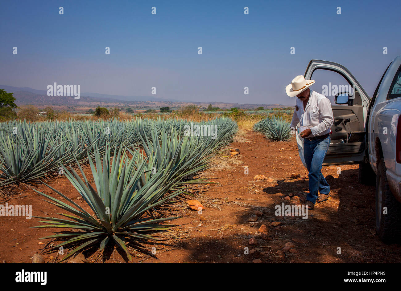 (valley of mexico) (tequila) hires stock photography and images Alamy