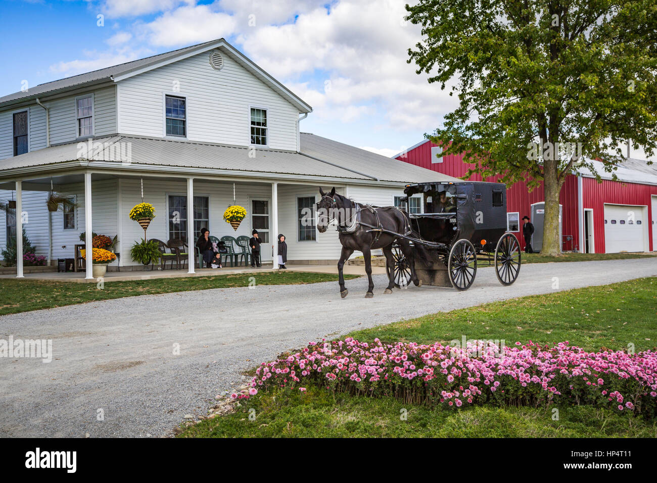 An Amish farm home with horse and buggies near Kidron, Ohio, USA Stock