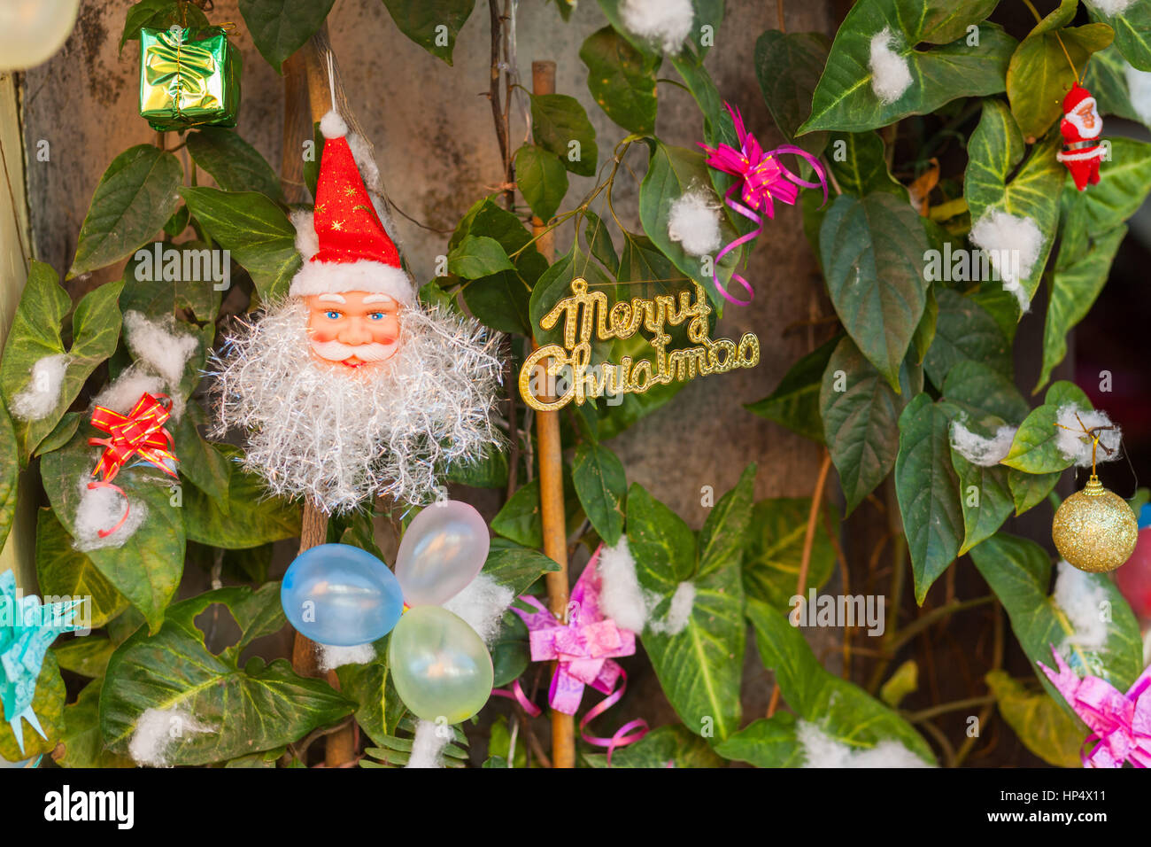 Christmas ornaments amidst ivy in Nepal Stock Photo Alamy