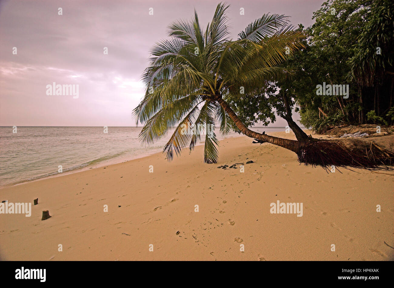 Paradisiac beaches hi-res stock photography and images - Alamy