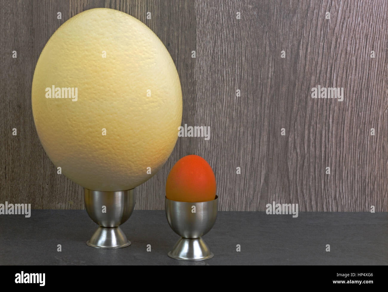 Ostrich egg and hen egg in the stands on a wooden background. Comparison of the size of eggs. Close, horizontal view. Stock Photo