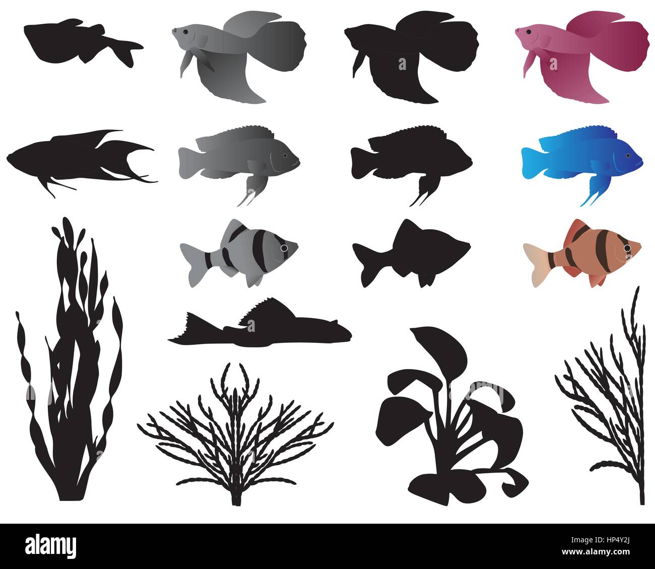 Fishes and algae for aquarium, silhouettes and color images Stock Vector
