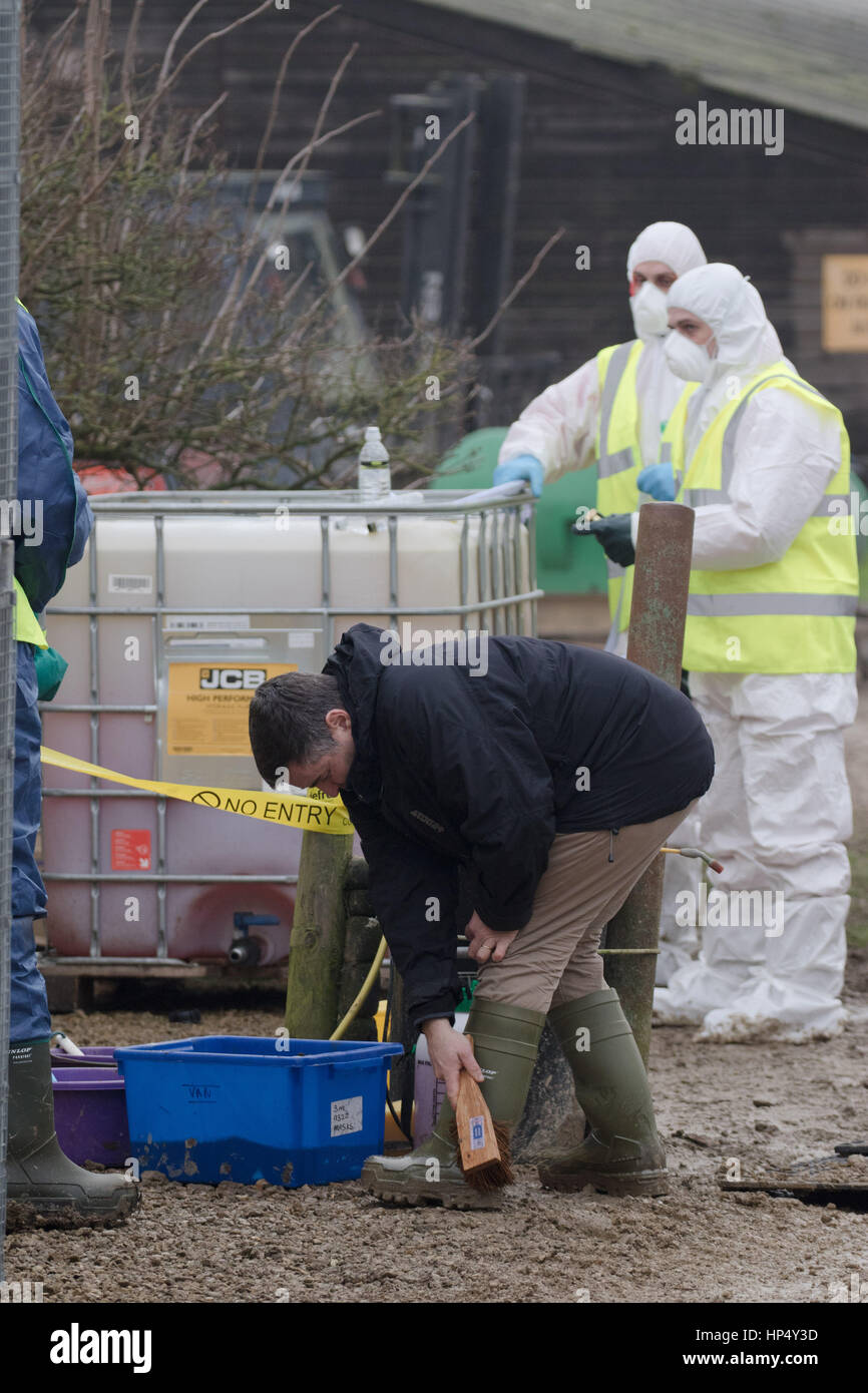 Defra officials dealing with an outbreak of H5N8 Bird Flu near Boston Lincolnshire  Picture Tim Scrivener 07850 303986 tim@agriphoto.com ….covering agriculture in the UK…. Stock Photo