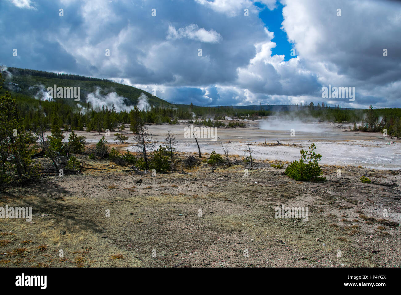 A Geothermal Valley in Yellowstone National Park Stock Photo