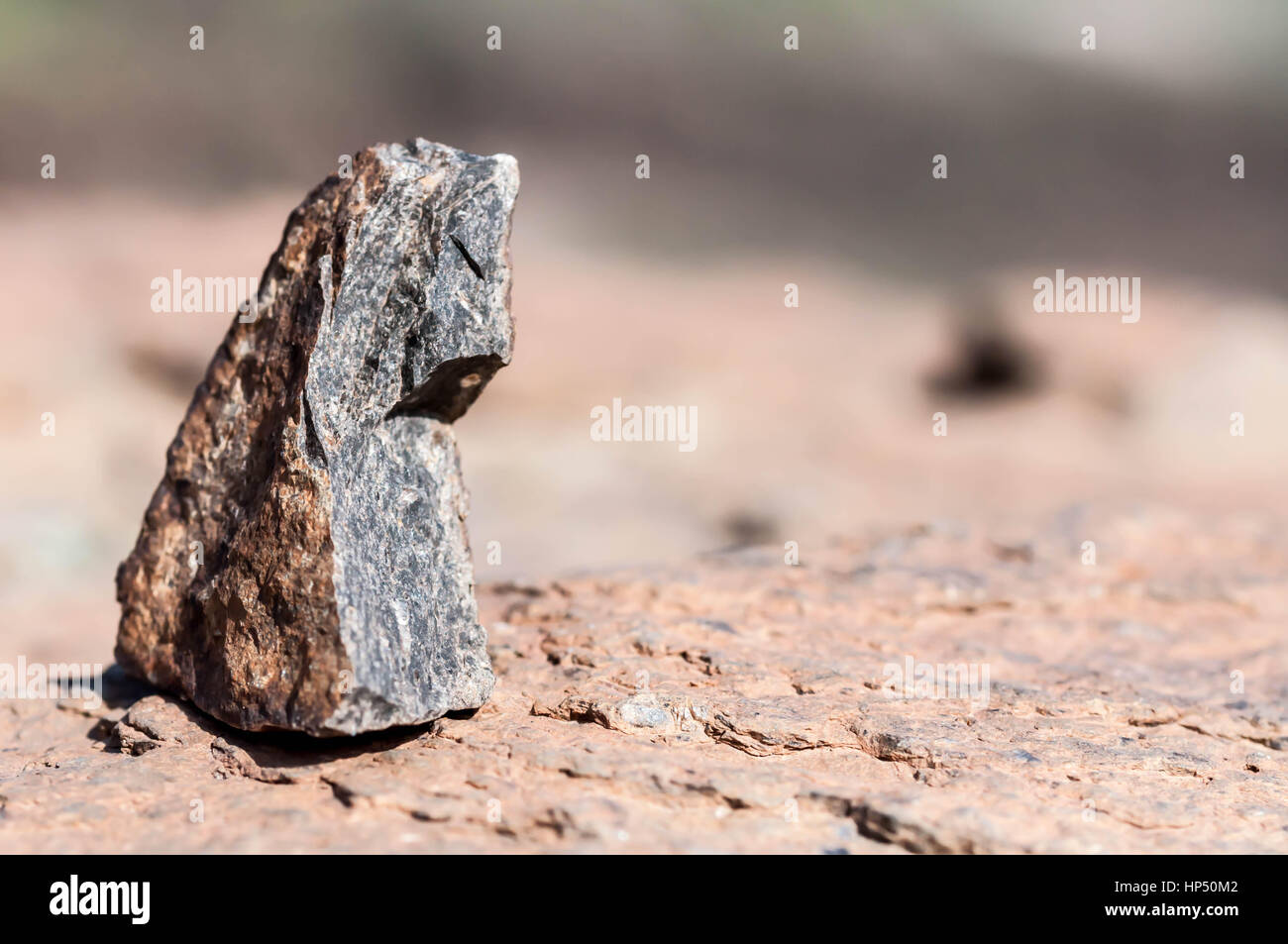 Sheep Skull Gran Canaria Stock Photo