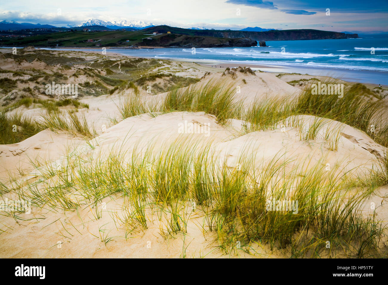 Dunes and beach Stock Photo