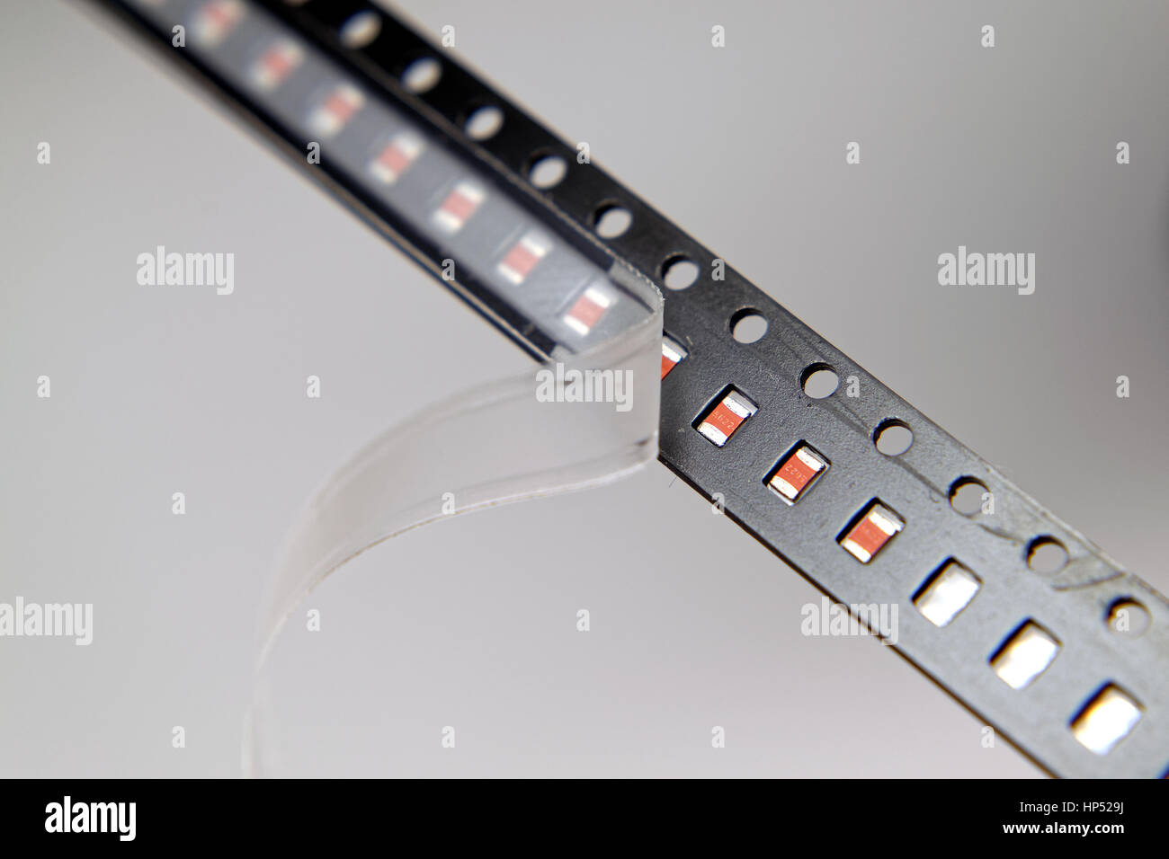 Tape carrier 2024