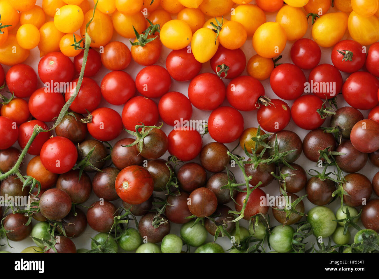Tomato Cherry Ripe Raw and ripe fresh cherry tomatoes, food background Stock Photo - Alamy
