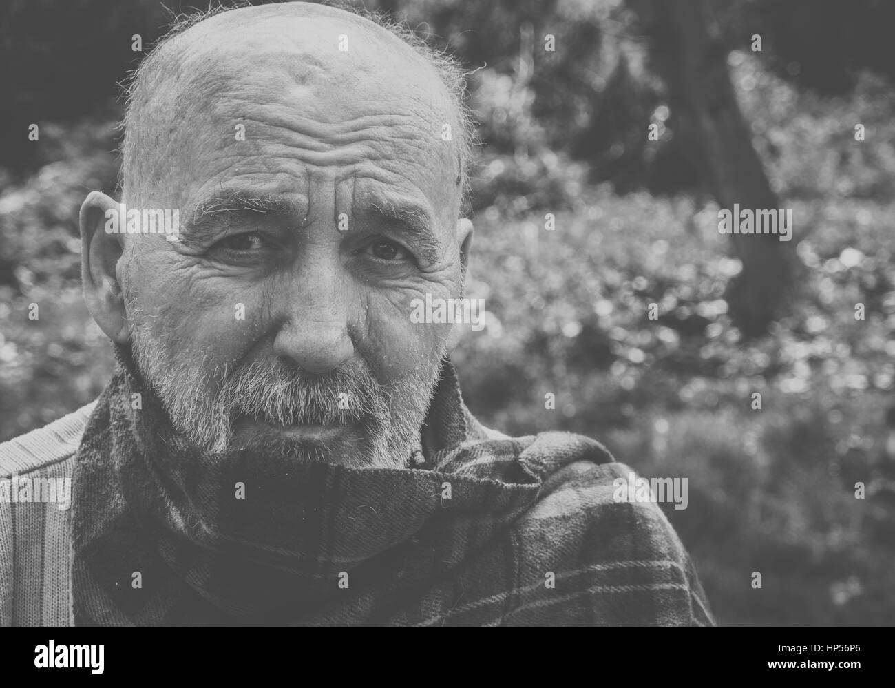 Old senior man Stock Photo