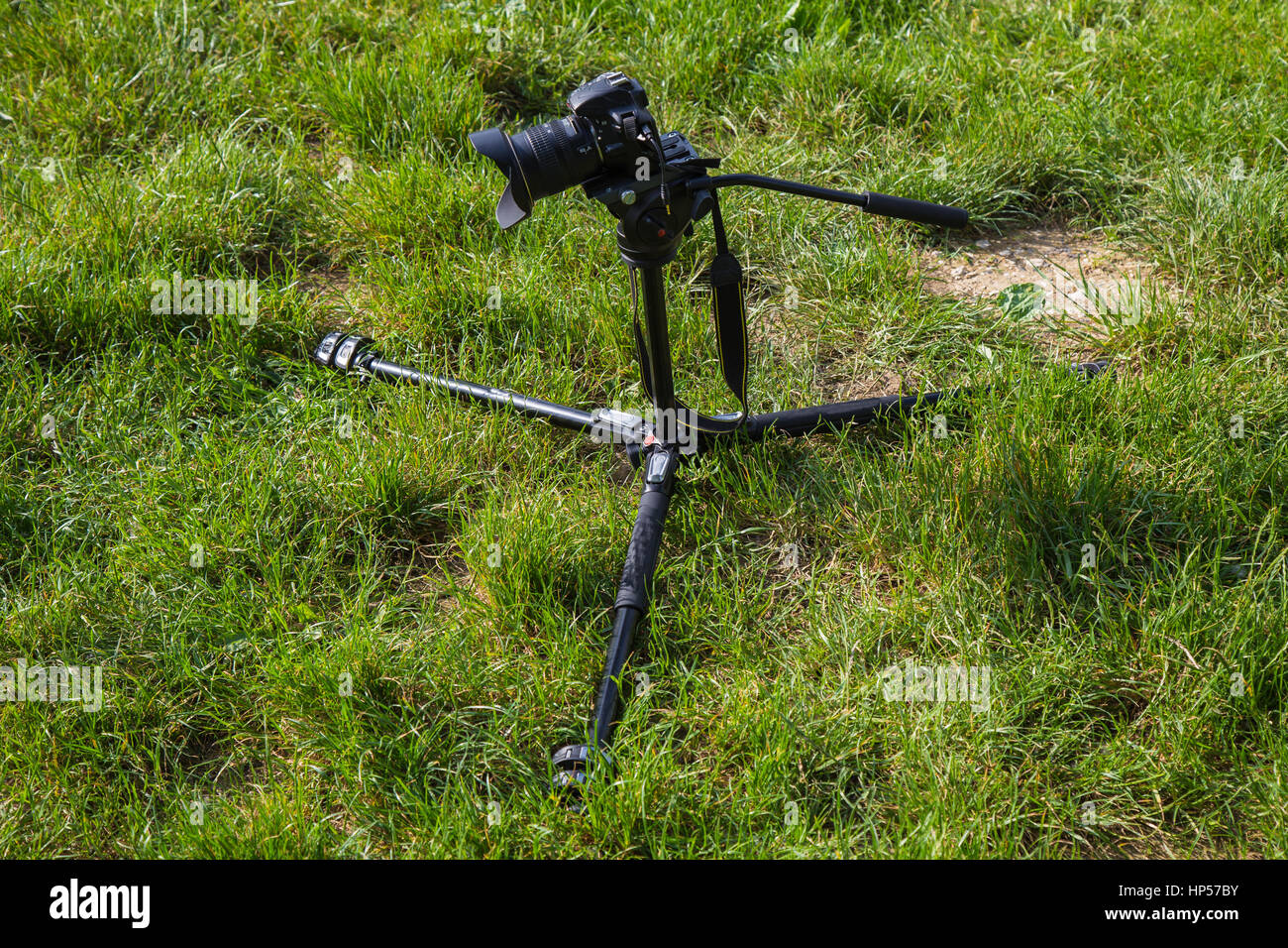 Camera ready for macro shooting Stock Photo Alamy