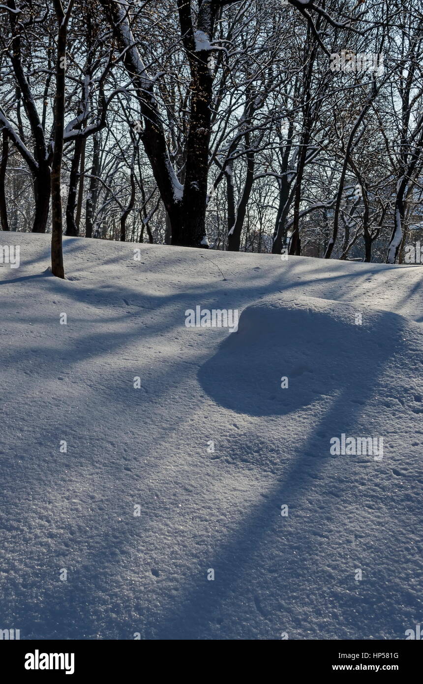 DOES IT SNOW IN SOFIA BULGARIA visual data 7