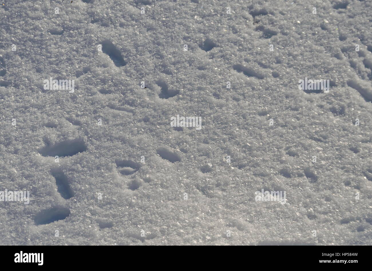 DOES IT SNOW IN SOFIA BULGARIA visual data 8