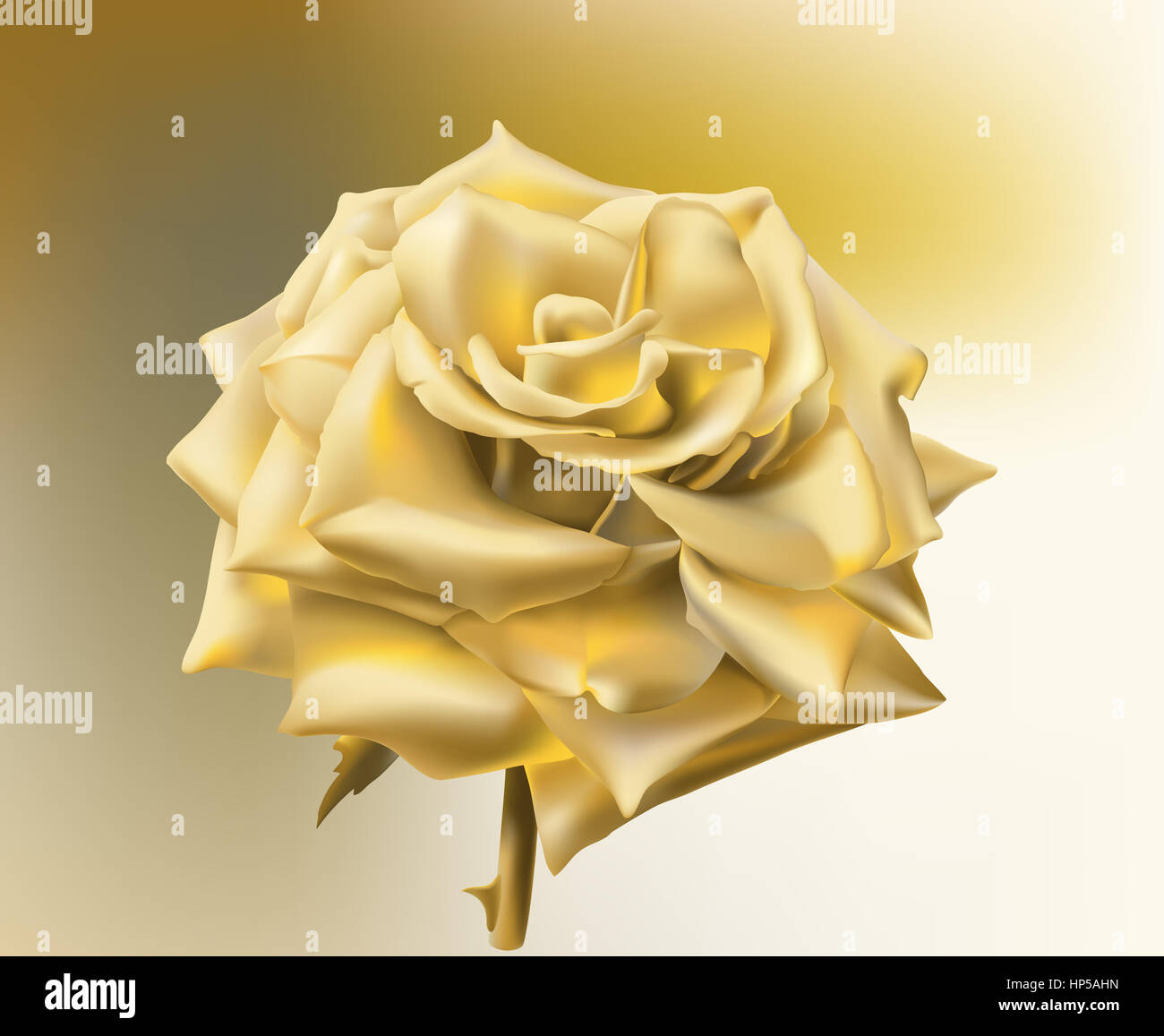 Gold Rose High Resolution Stock Photography and Images - Alamy